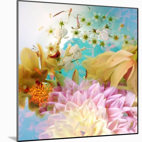 A Photographic Montage of Dreamy Flowers in Water-Alaya Gadeh-Mounted Photographic Print