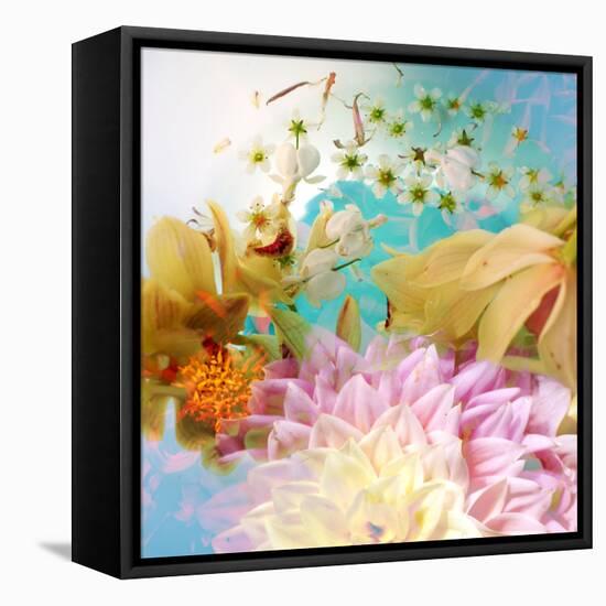 A Photographic Montage of Dreamy Flowers in Water-Alaya Gadeh-Framed Premier Image Canvas