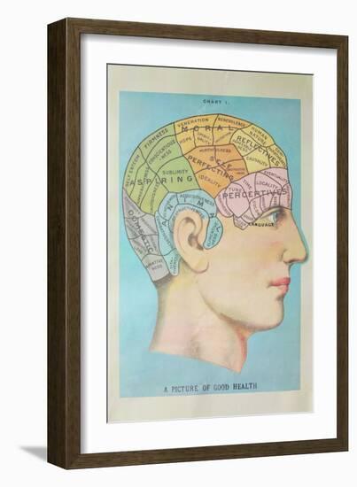 A Picture of Good Health - Vintage Cognitive Science Lithograph-Lantern Press-Framed Premium Giclee Print