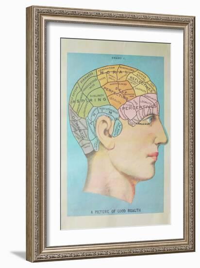 A Picture of Good Health - Vintage Cognitive Science Lithograph-Lantern Press-Framed Art Print