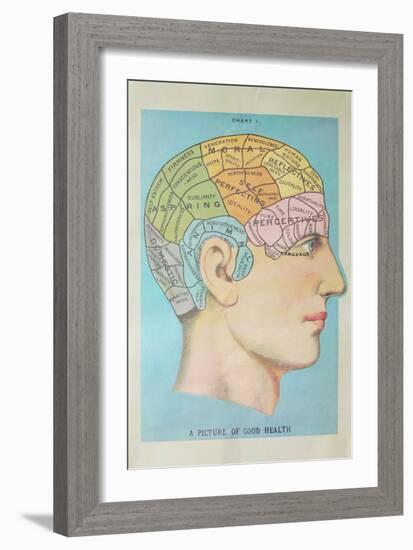 A Picture of Good Health - Vintage Cognitive Science Lithograph-Lantern Press-Framed Art Print