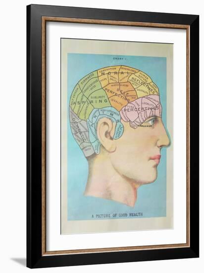 A Picture of Good Health - Vintage Cognitive Science Lithograph-Lantern Press-Framed Art Print