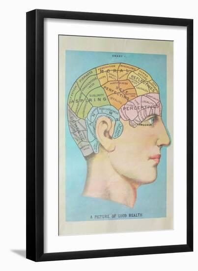 A Picture of Good Health - Vintage Cognitive Science Lithograph-Lantern Press-Framed Art Print