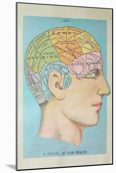 A Picture of Good Health - Vintage Cognitive Science Lithograph-Lantern Press-Mounted Art Print