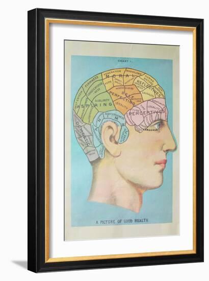 A Picture of Good Health - Vintage Cognitive Science Lithograph-Lantern Press-Framed Art Print