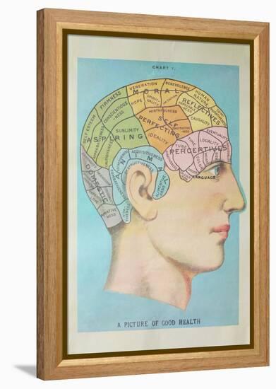 A Picture of Good Health - Vintage Cognitive Science Lithograph-Lantern Press-Framed Stretched Canvas