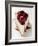 A Piece of Cheesecake with Cherry Sauce-null-Framed Photographic Print