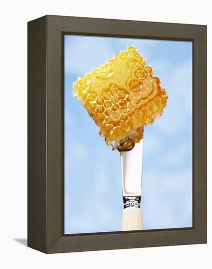 A Piece of Honeycomb on a Knife-Marc O^ Finley-Framed Premier Image Canvas