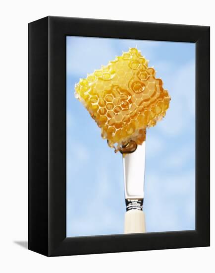 A Piece of Honeycomb on a Knife-Marc O^ Finley-Framed Premier Image Canvas