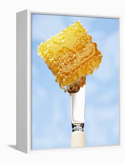 A Piece of Honeycomb on a Knife-Marc O^ Finley-Framed Premier Image Canvas