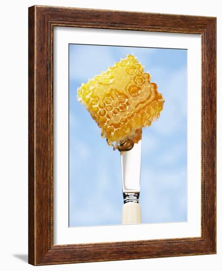 A Piece of Honeycomb on a Knife-Marc O^ Finley-Framed Photographic Print