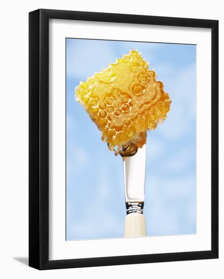 A Piece of Honeycomb on a Knife-Marc O^ Finley-Framed Photographic Print