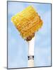 A Piece of Honeycomb on a Knife-Marc O^ Finley-Mounted Photographic Print