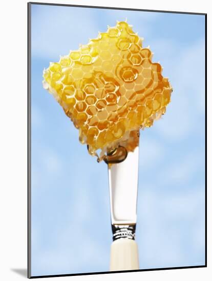 A Piece of Honeycomb on a Knife-Marc O^ Finley-Mounted Photographic Print