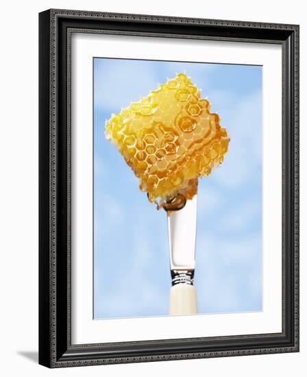 A Piece of Honeycomb on a Knife-Marc O^ Finley-Framed Photographic Print