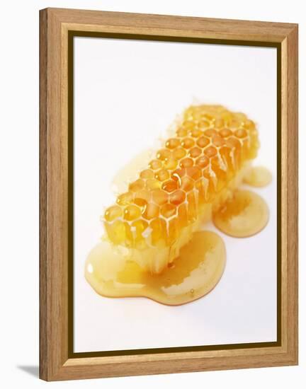 A Piece of Honeycomb-Marc O^ Finley-Framed Premier Image Canvas