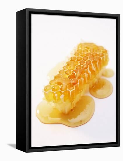 A Piece of Honeycomb-Marc O^ Finley-Framed Premier Image Canvas