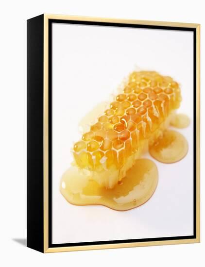 A Piece of Honeycomb-Marc O^ Finley-Framed Premier Image Canvas