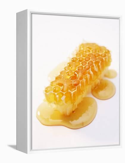 A Piece of Honeycomb-Marc O^ Finley-Framed Premier Image Canvas