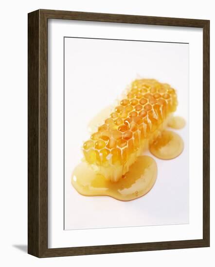 A Piece of Honeycomb-Marc O^ Finley-Framed Photographic Print