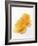 A Piece of Honeycomb-Marc O^ Finley-Framed Photographic Print