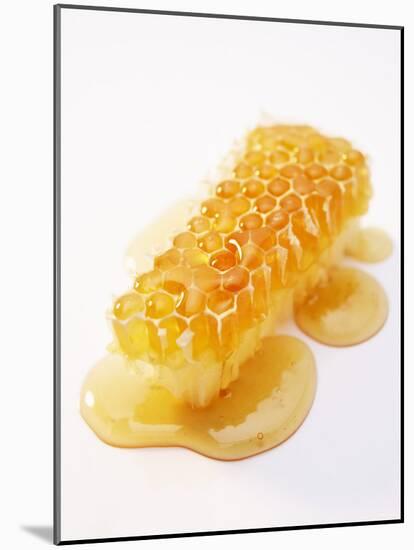 A Piece of Honeycomb-Marc O^ Finley-Mounted Photographic Print