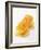 A Piece of Honeycomb-Marc O^ Finley-Framed Photographic Print