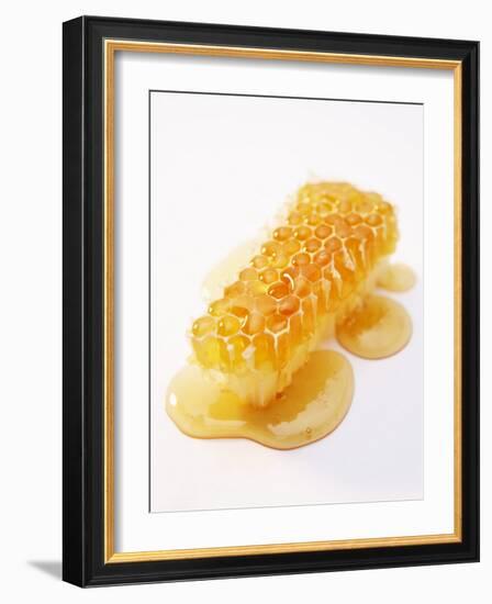A Piece of Honeycomb-Marc O^ Finley-Framed Photographic Print