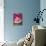 A Piece of Watermelon-Sara Jones-Framed Premier Image Canvas displayed on a wall