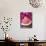 A Piece of Watermelon-Sara Jones-Photographic Print displayed on a wall