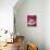 A Piece of Watermelon-Sara Jones-Mounted Photographic Print displayed on a wall