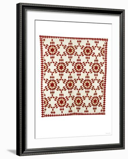 A Pieced and Appliqued Cotton Quilted Coverlet, American, Late 19th Century-null-Framed Giclee Print