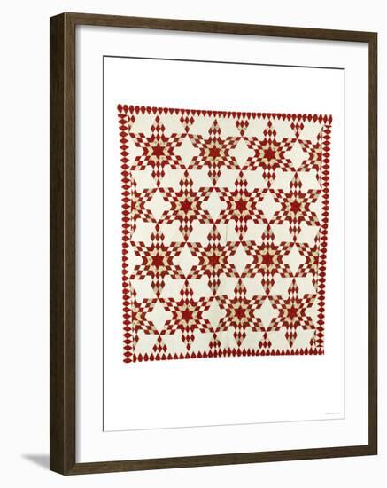 A Pieced and Appliqued Cotton Quilted Coverlet, American, Late 19th Century-null-Framed Giclee Print