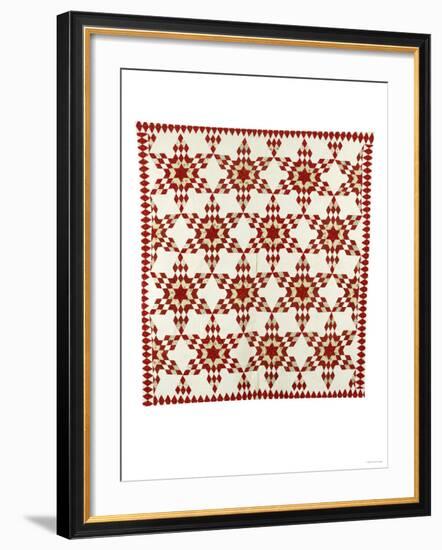 A Pieced and Appliqued Cotton Quilted Coverlet, American, Late 19th Century-null-Framed Giclee Print