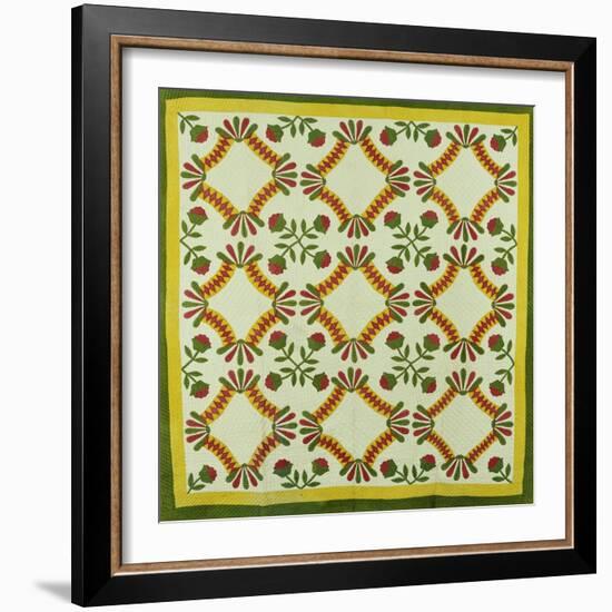 A Pieced and Appliqued Cotton Quilted Coverlet, North Carolina, circa 1850-null-Framed Premium Giclee Print