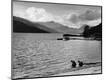 Photographic Print