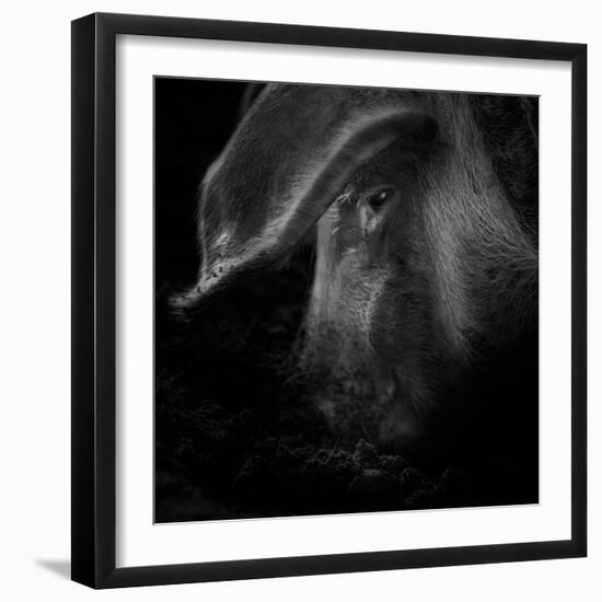 A Piggy Thing-Ruud Peters-Framed Photographic Print