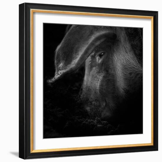 A Piggy Thing-Ruud Peters-Framed Photographic Print