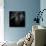 A Piggy Thing-Ruud Peters-Mounted Photographic Print displayed on a wall