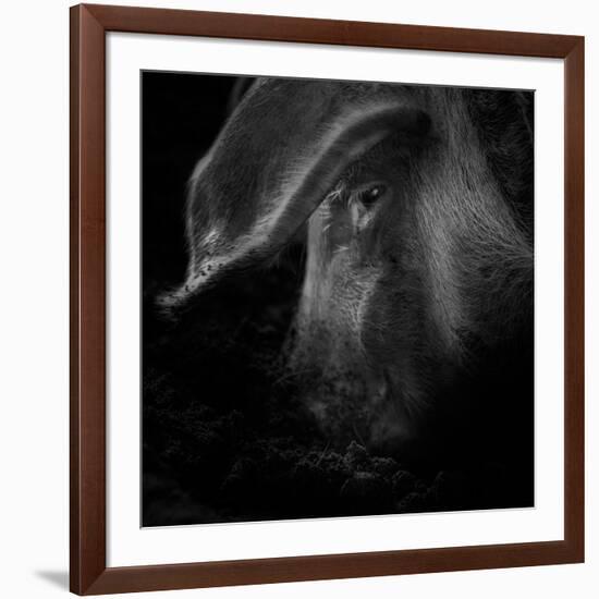 A Piggy Thing-Ruud Peters-Framed Photographic Print