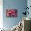 A Pile of Gifts and Christmas Ornaments, such as Christmas Balls, Stars and Tinsel, on a Rustic Woo-nito-Photographic Print displayed on a wall