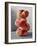 A Pile of Peaches-Paul Williams-Framed Photographic Print