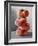 A Pile of Peaches-Paul Williams-Framed Photographic Print