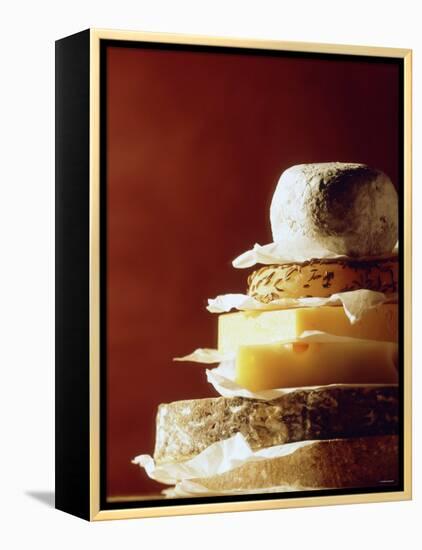 A Pile of Pieces of Different Cheeses-Tim Thiel-Framed Premier Image Canvas