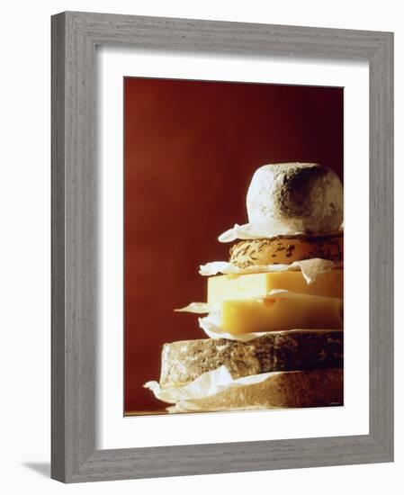 A Pile of Pieces of Different Cheeses-Tim Thiel-Framed Photographic Print