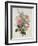 A Pink Bouquet-Albert Williams-Framed Giclee Print