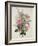 A Pink Bouquet-Albert Williams-Framed Giclee Print