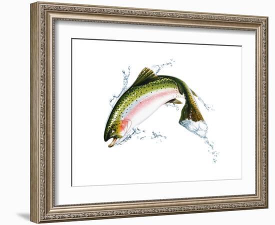 A Pink Salmon Jumping Out of the Water-null-Framed Art Print