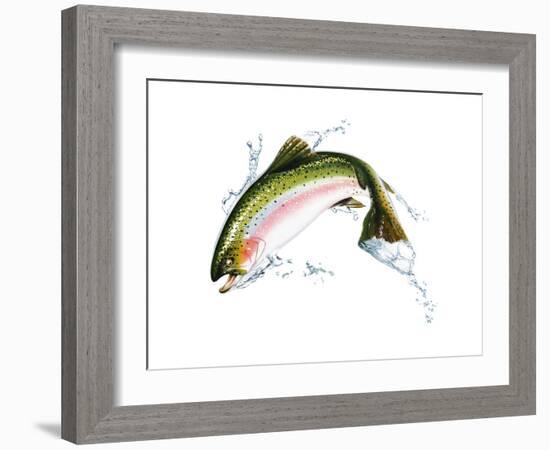 A Pink Salmon Jumping Out of the Water-null-Framed Art Print