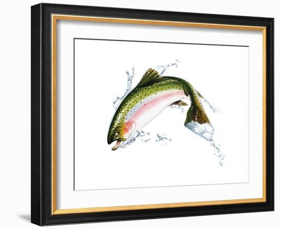 A Pink Salmon Jumping Out of the Water-null-Framed Art Print